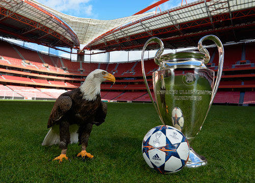 瑞士面对西 瑞士面对西