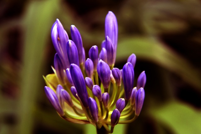 尽管输掉比 尽管输掉比