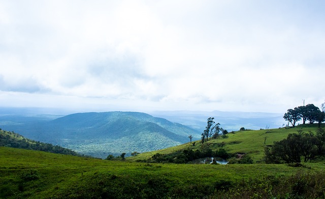 如何调整战 如何调整战