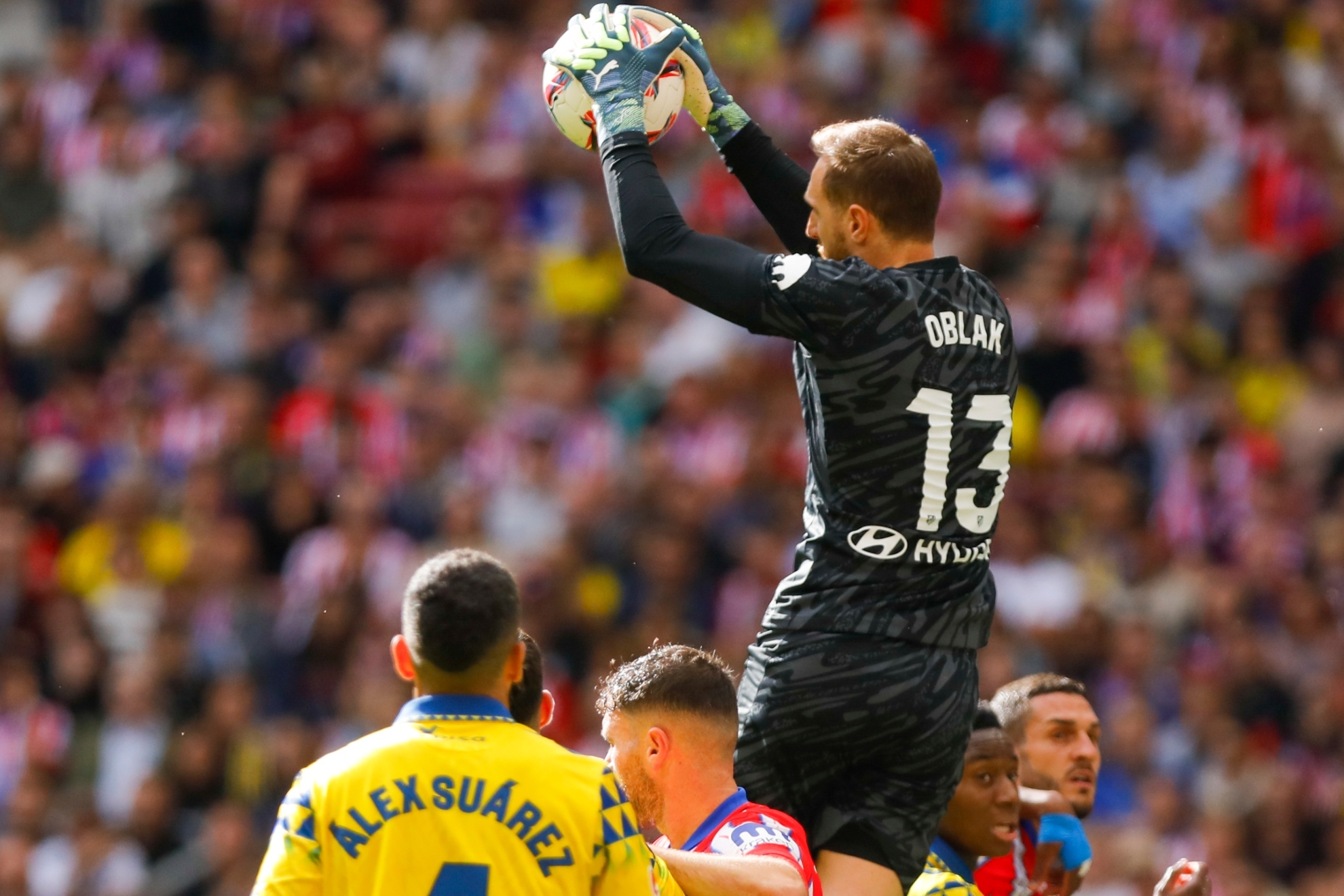 仅让这座海 仅让这座海