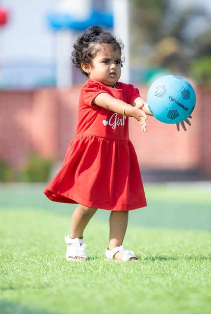 無法領隊 無法領隊