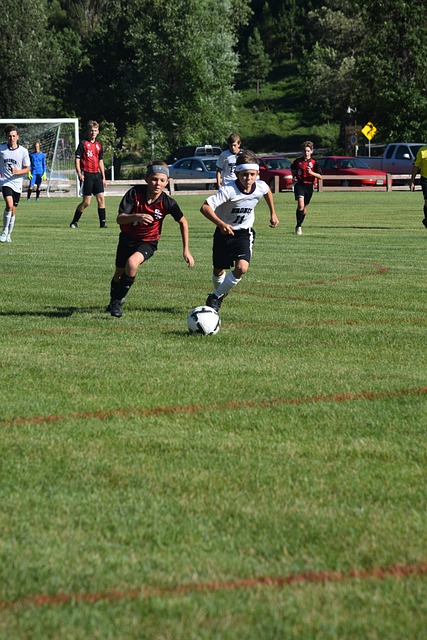 轉會的合約 轉會的合約