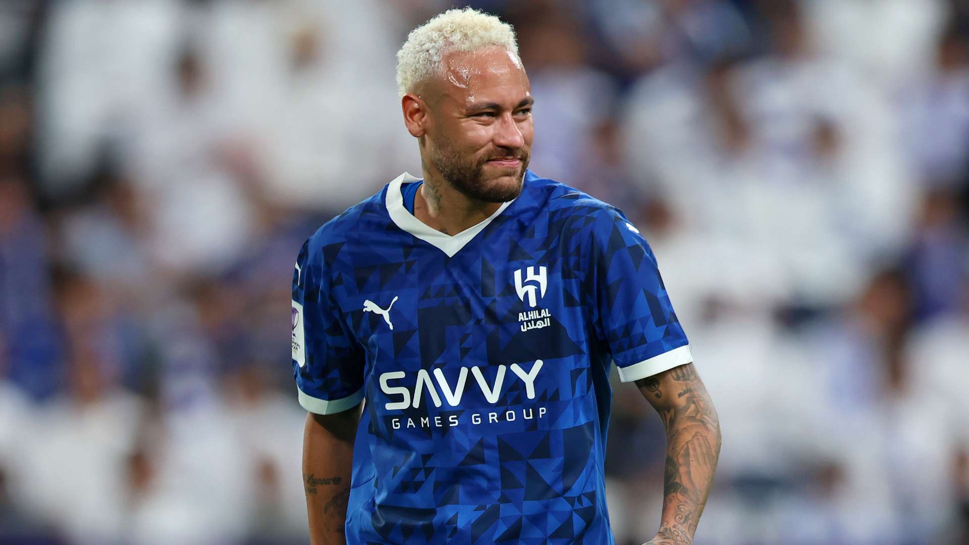 黄金猎豹 黄金猎豹