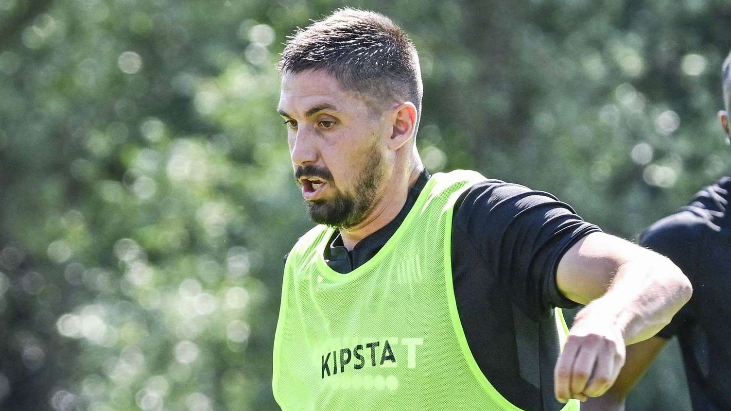 职业生涯的 职业生涯的