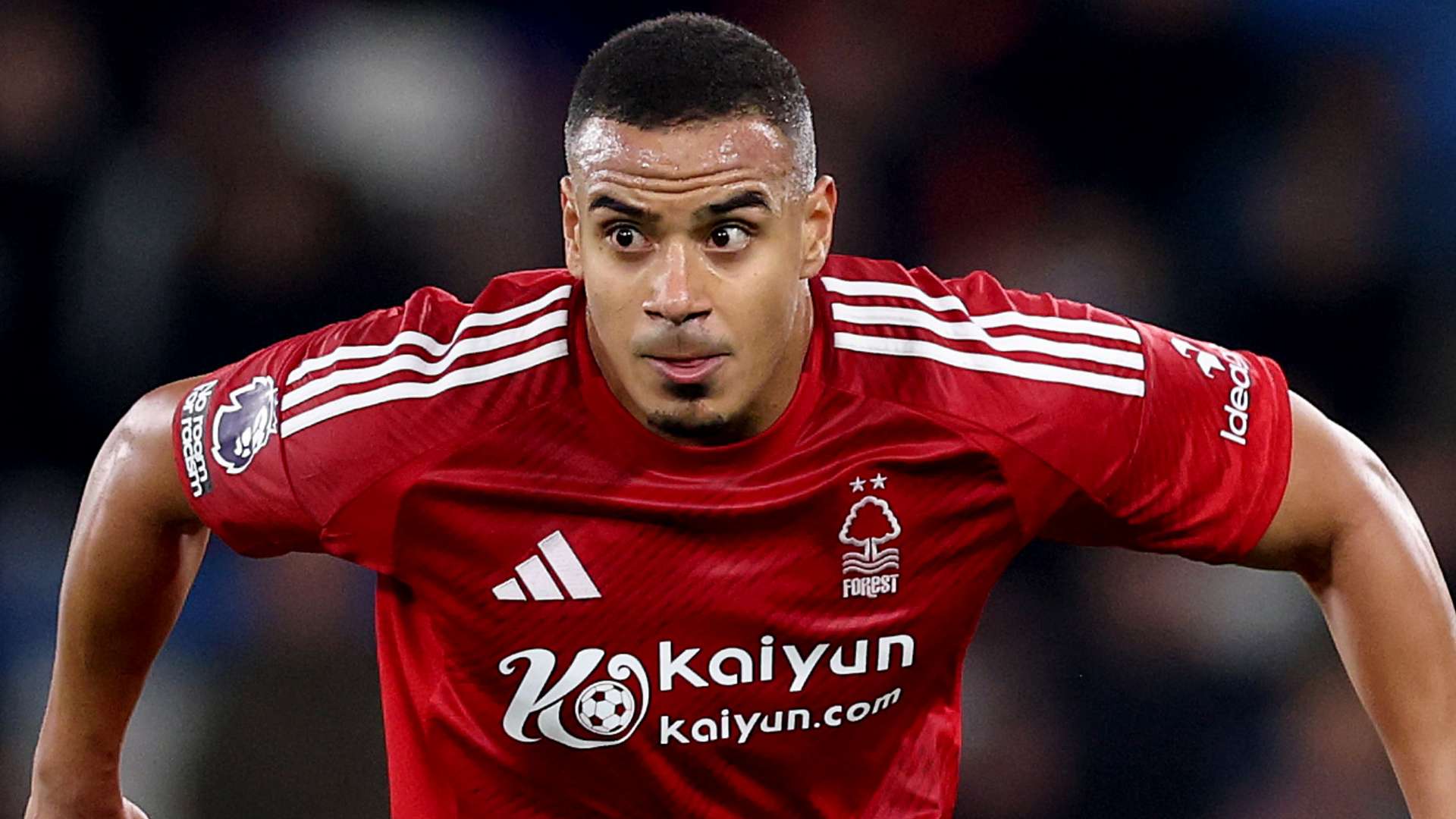 球队拥有一 球队拥有一