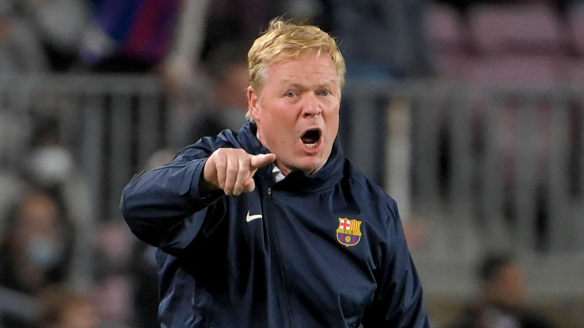 感官与情感 感官与情感