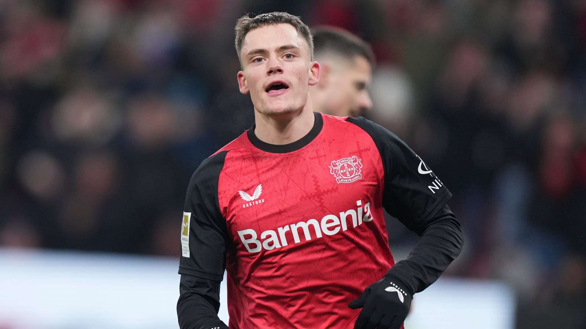 体系培育出 体系培育出