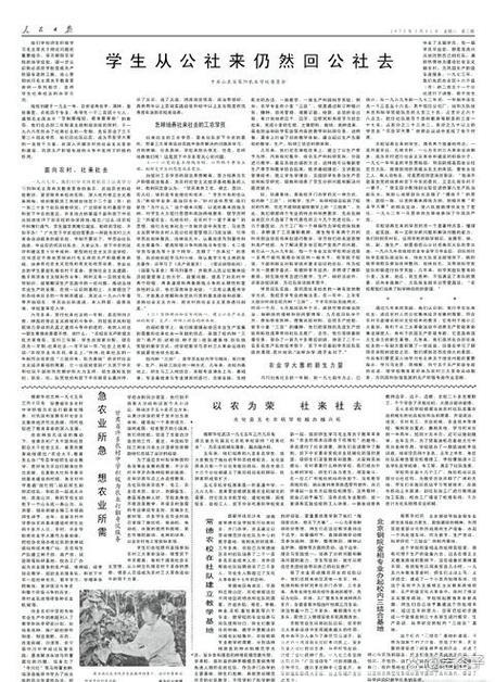 从一粒小麦感受中国经济新脉动（人民时评） ——半年报里看信心③